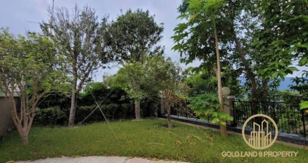 FB_IMG_1667469054274