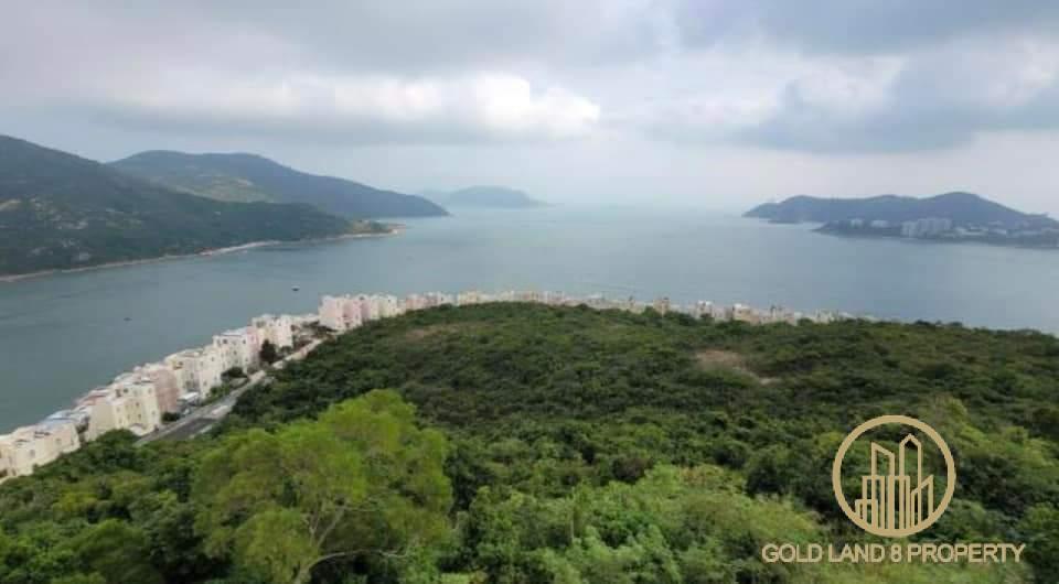 FB_IMG_1667469073630