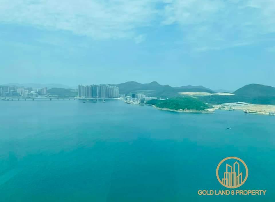 FB_IMG_1668530686223