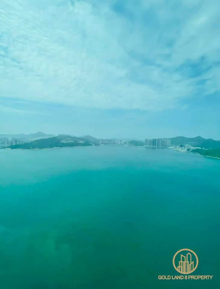 FB_IMG_1668530703823